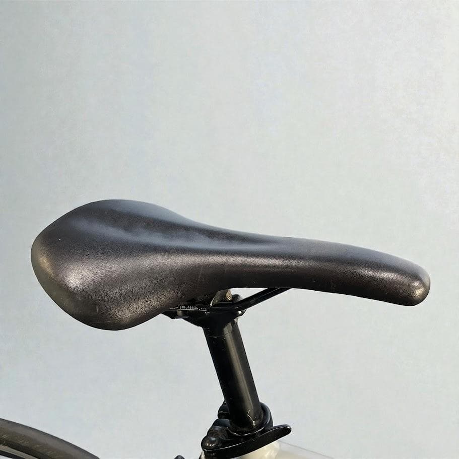 ●FUJI 2019 TRACK ARCV●トラック アーカイブ ピストバイク