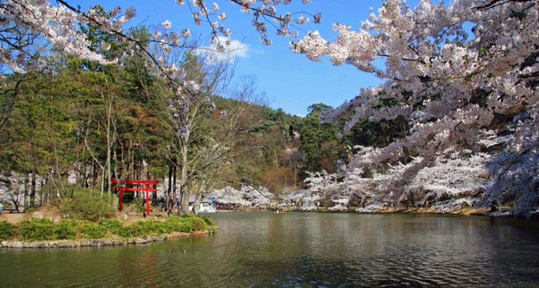 tsuribito.y.uchida様　　CANON　EOS 30D 初心者