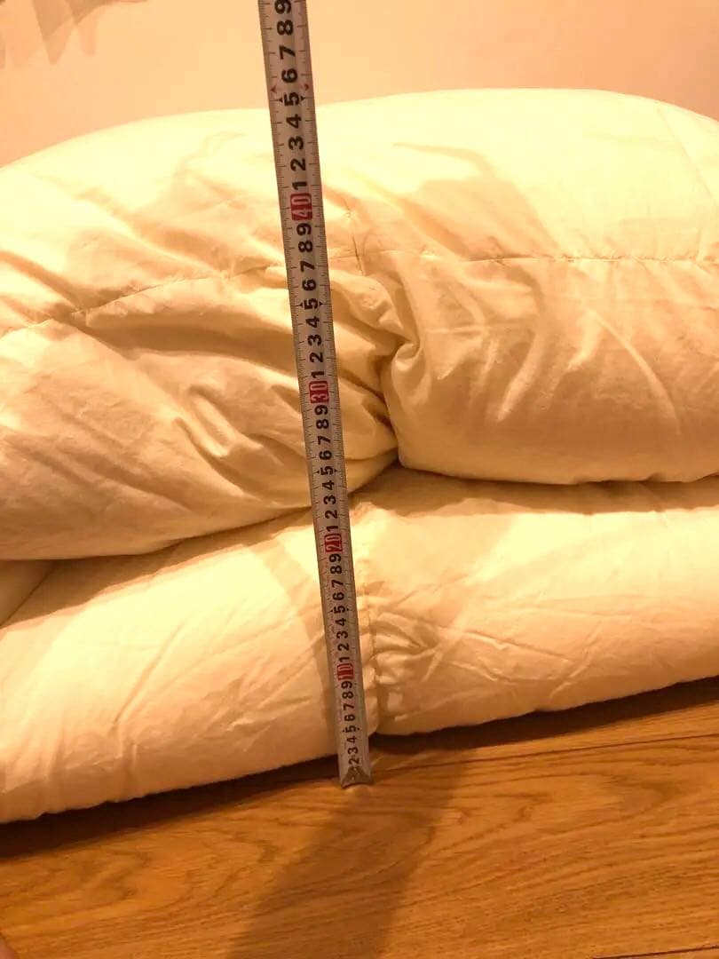 大塚家具 ダウナ ポーランド マザーグース 95% クイーンサイズ 1480g