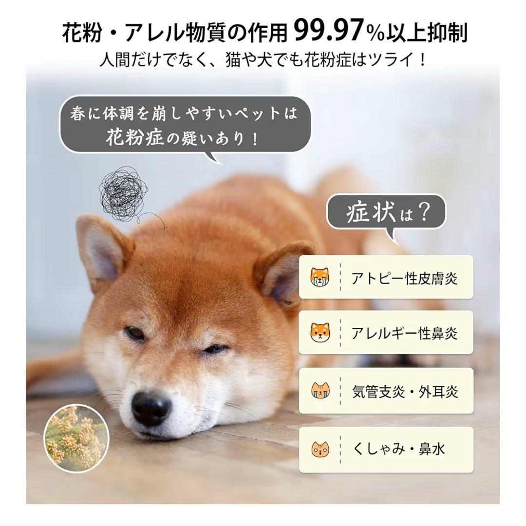 未使用）Levoit Core P350レボイト ペット特化 花粉対策 空気清浄