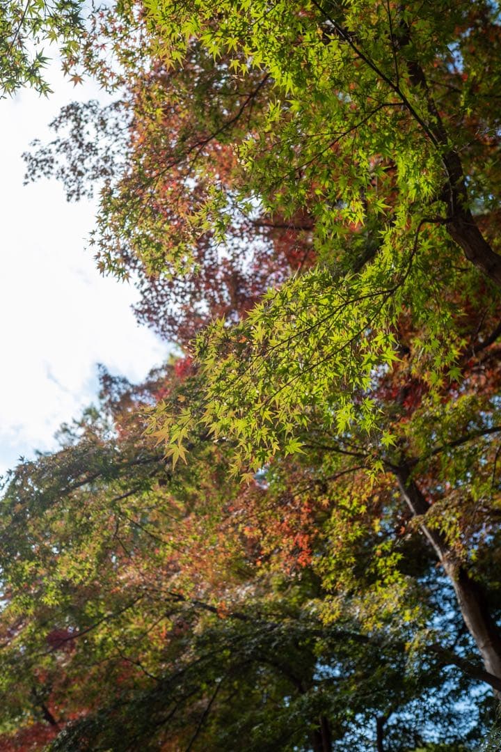 [値下げ不可] Fujifilm X-T2 ボディ ブラック