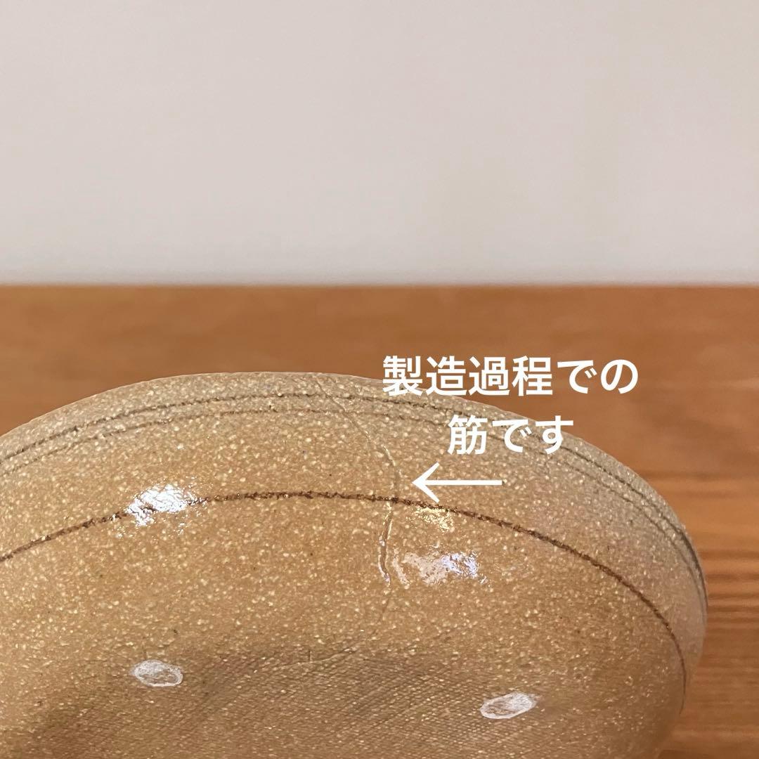 瀬戸唐津　菊花文　鉢　皿　5枚
