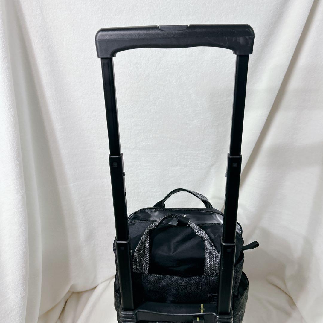 美品 SWANY スワニー キャリー バッグ ペイズリー柄 ストッパー付き 保冷