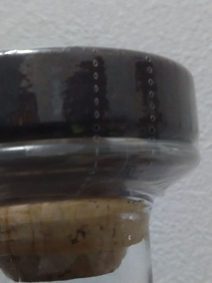 【入手困難】軽井沢1981-2013 31年 能 シェリーバット