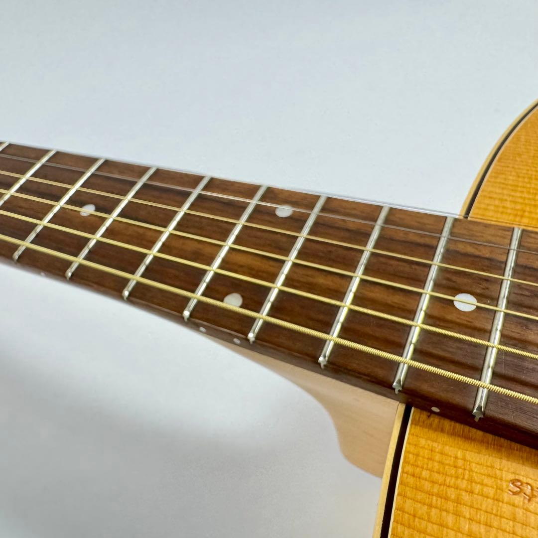 【訳あり】 Seagull シーガル AT SG T35 エレアコ アコギ