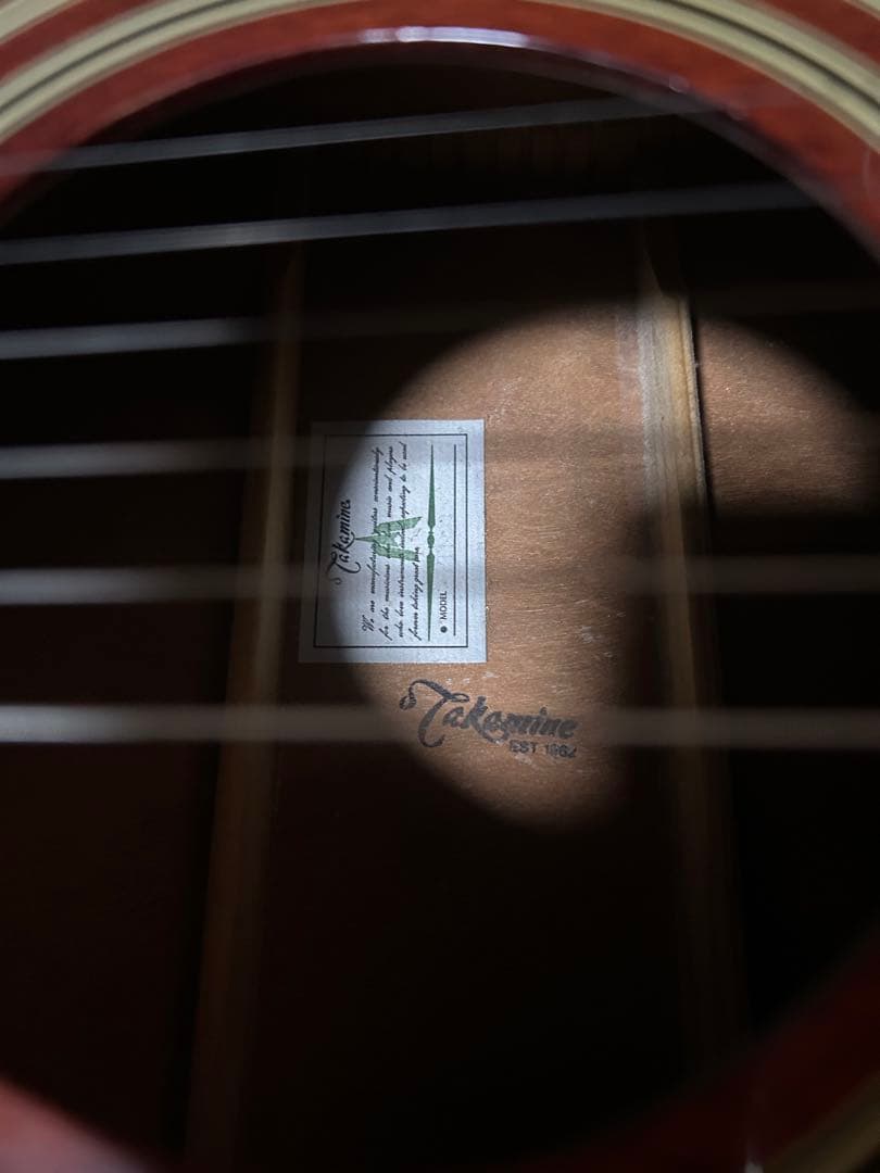 TAMINE ＴＤ２３　オールマホガニーボディ
