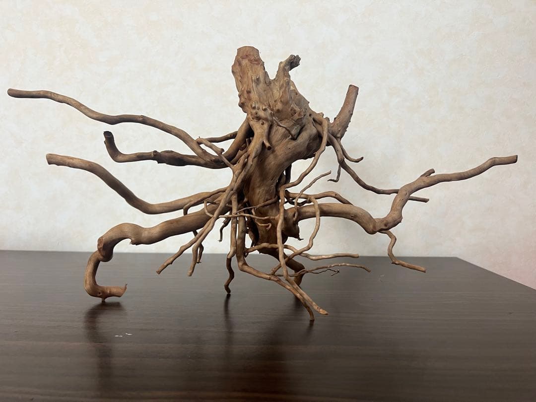 22321 ブランチウッド　流木　アクアリウム 沈水確認済