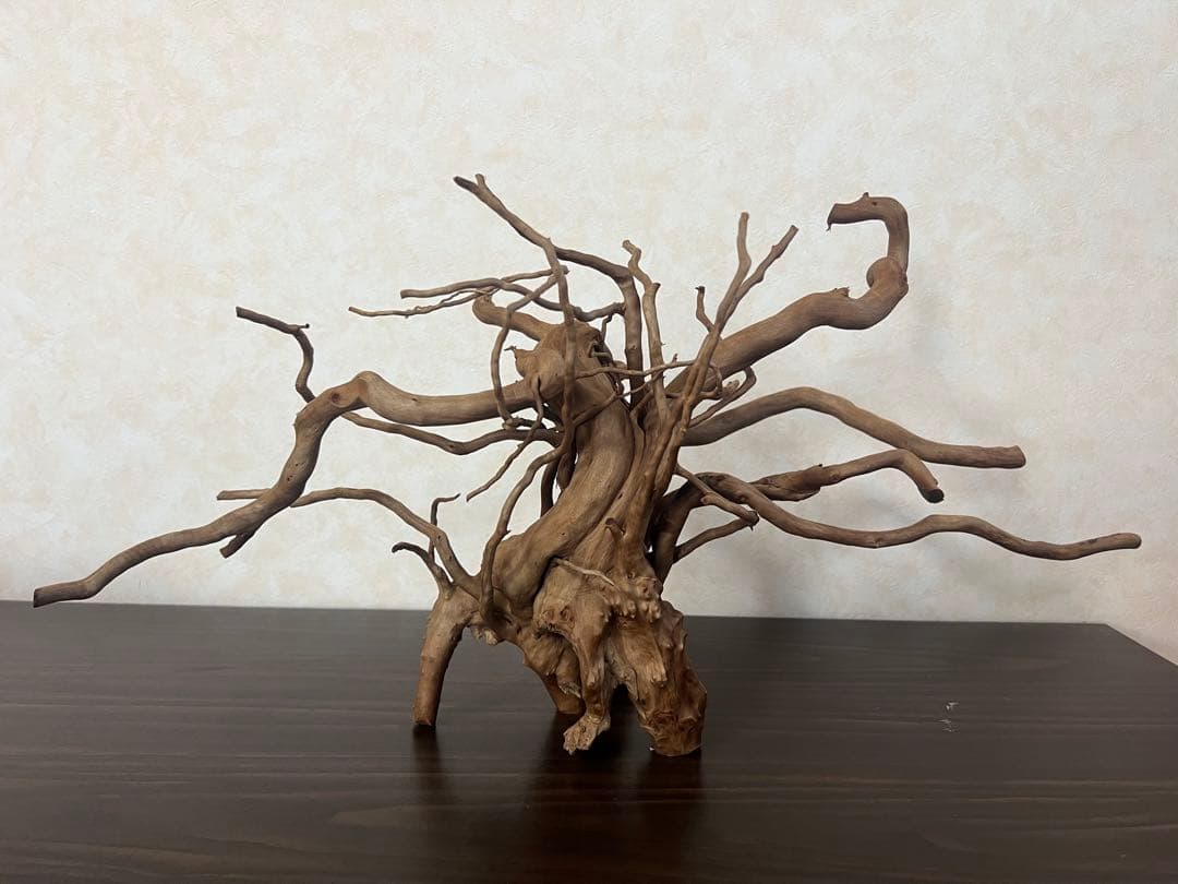 22321 ブランチウッド　流木　アクアリウム 沈水確認済