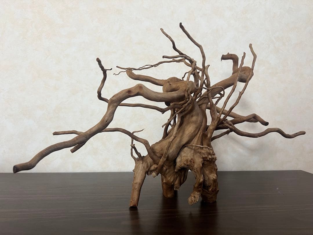 22321 ブランチウッド　流木　アクアリウム 沈水確認済