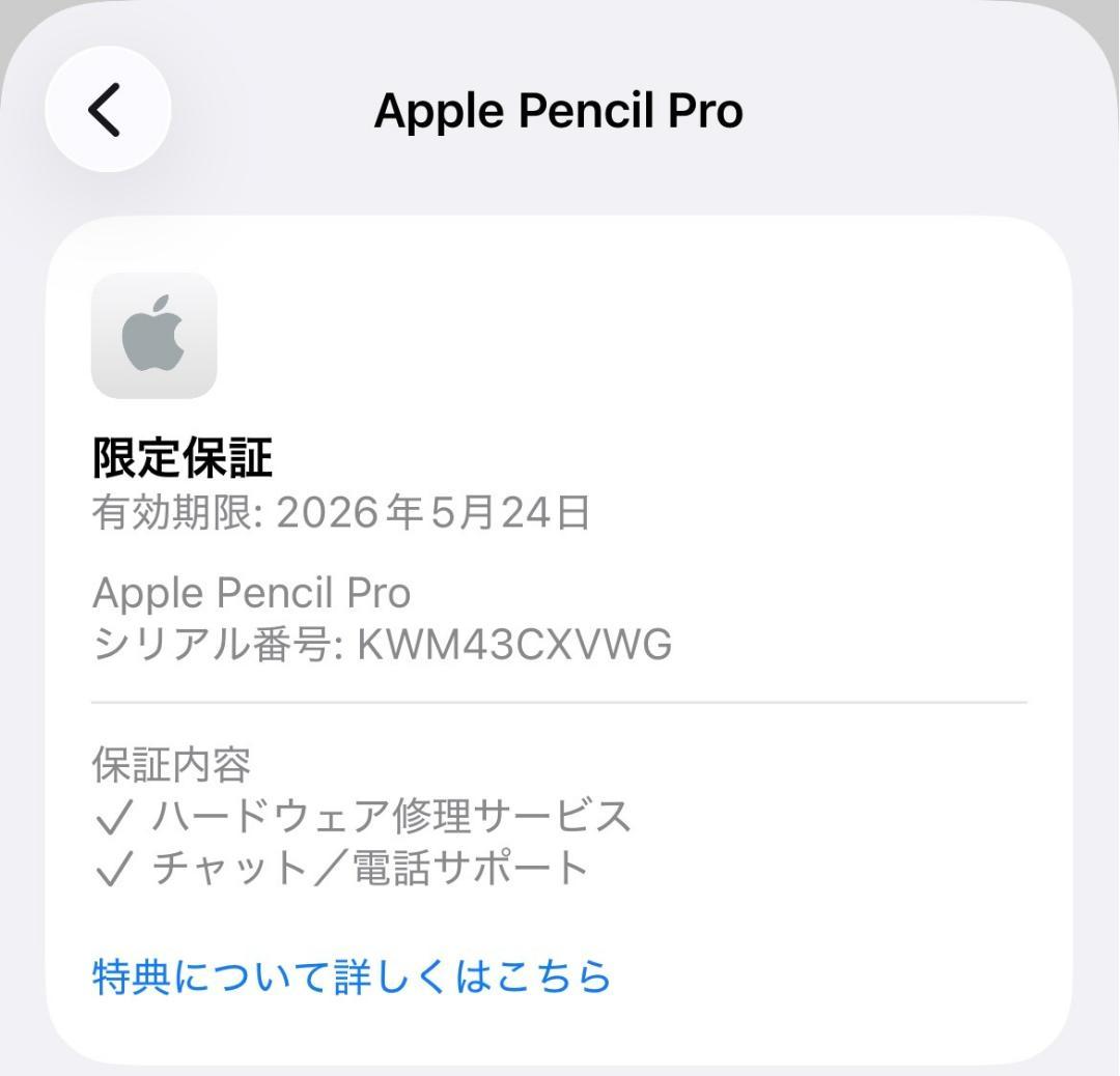 限定保証あり【純正品】Apple Pencil Pro 本体＋箱類