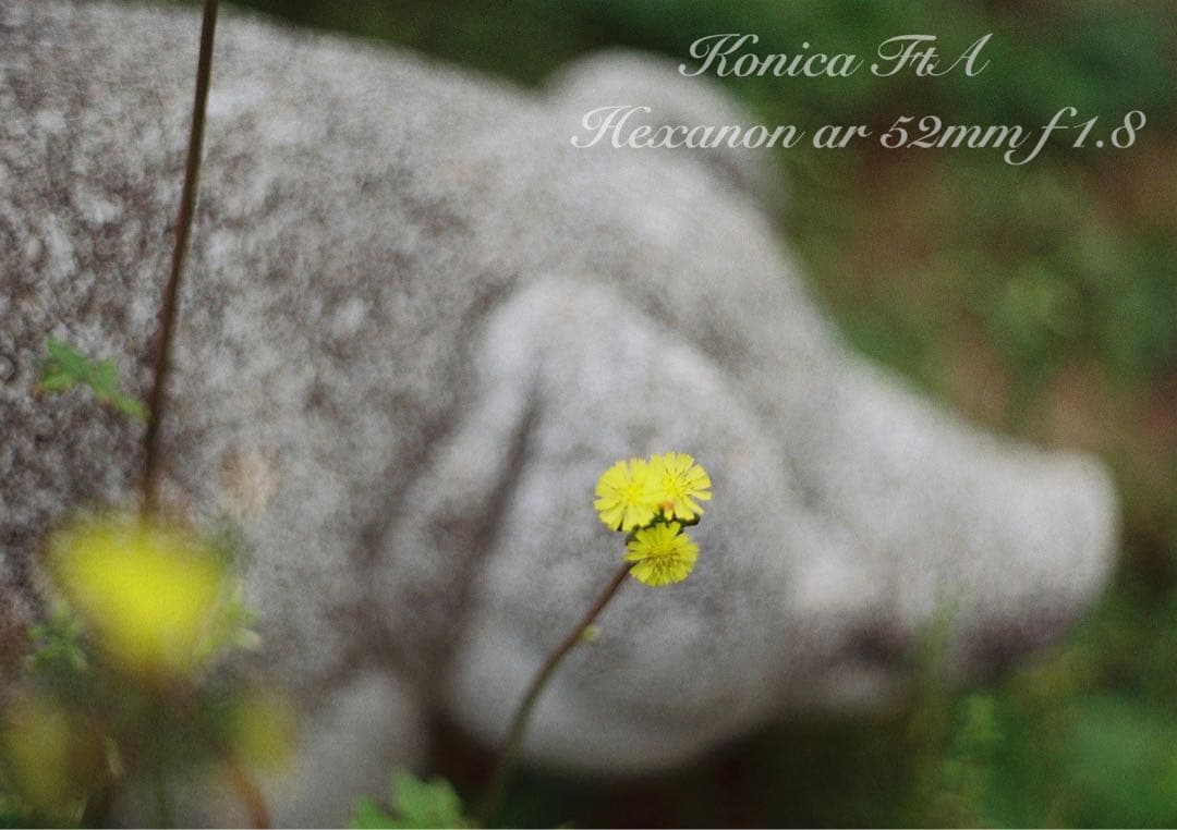 ★完動品＊美品★コニカfta／hexanon 52mm f1.8★初期保証