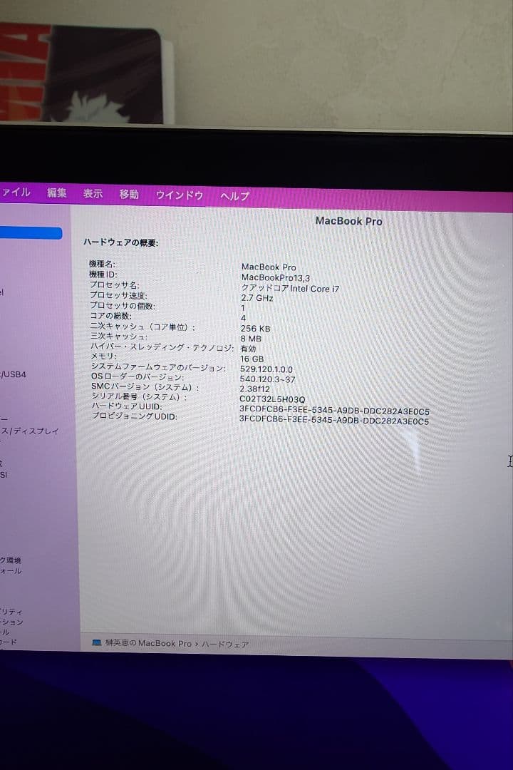 MacBook本体 MacBook Pro 15-inc 2016 16GB 512GB