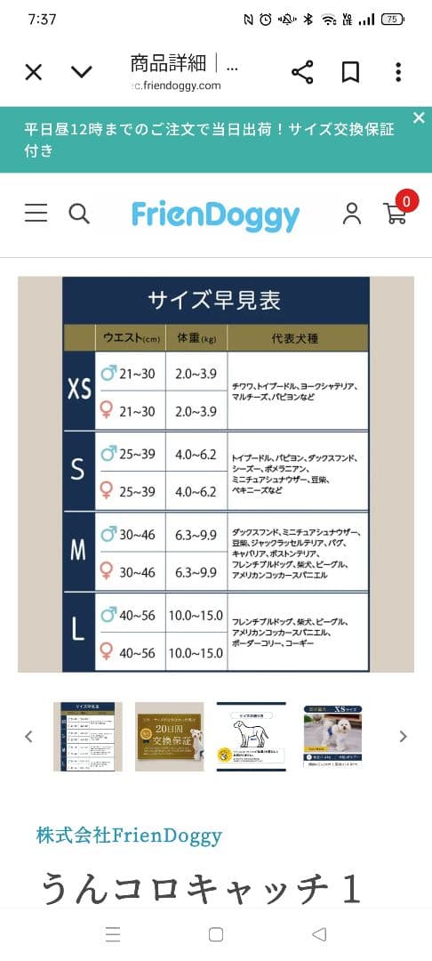 うんコロキャッチМ2枚　新品　おまけ付き