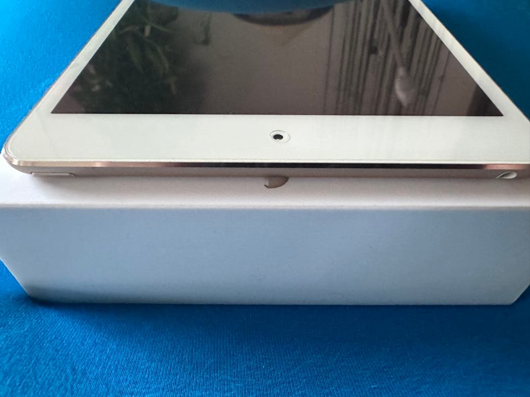 【付属品未使用 美品】iPad mini 4 Wi-Fi 64GB ゴールド