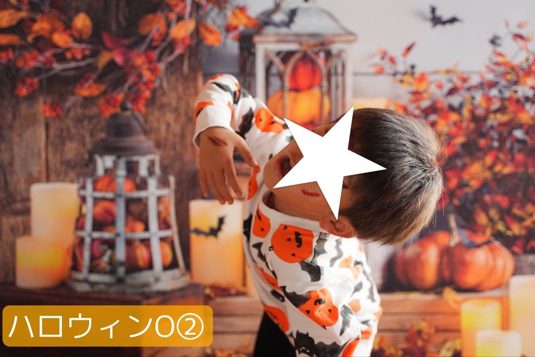 紅葉　背景布秋XD③　ペット撮影用　80×120cm　トリミングチョーカー販売中