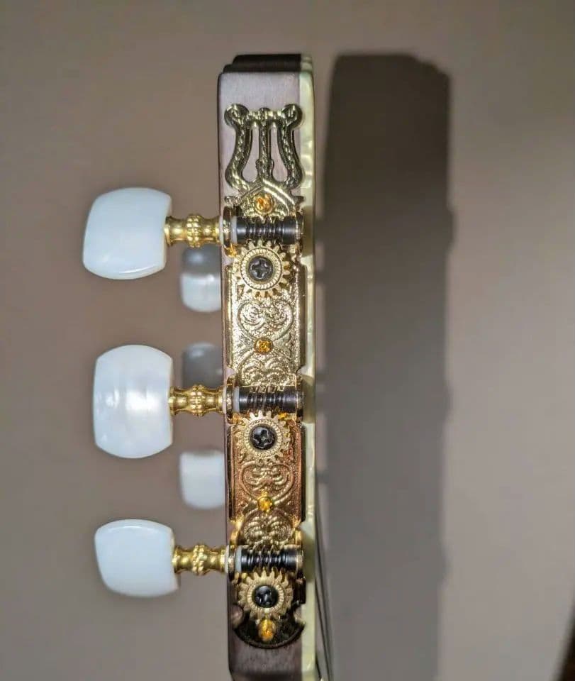 ギター ibanez TOD10N