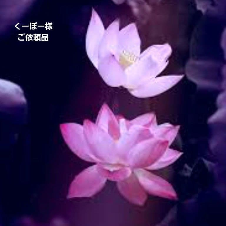 ＊くーぽー様 水入り瑪瑙ロングイ ご予約品
