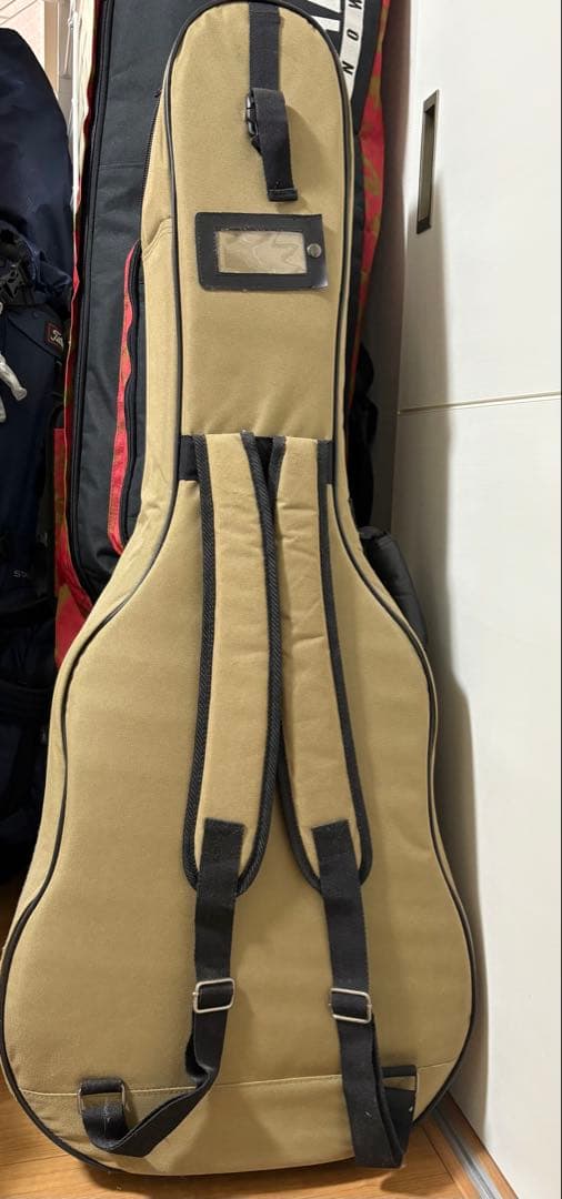 エレアコ　ギター seagull Amber Trail シーガル