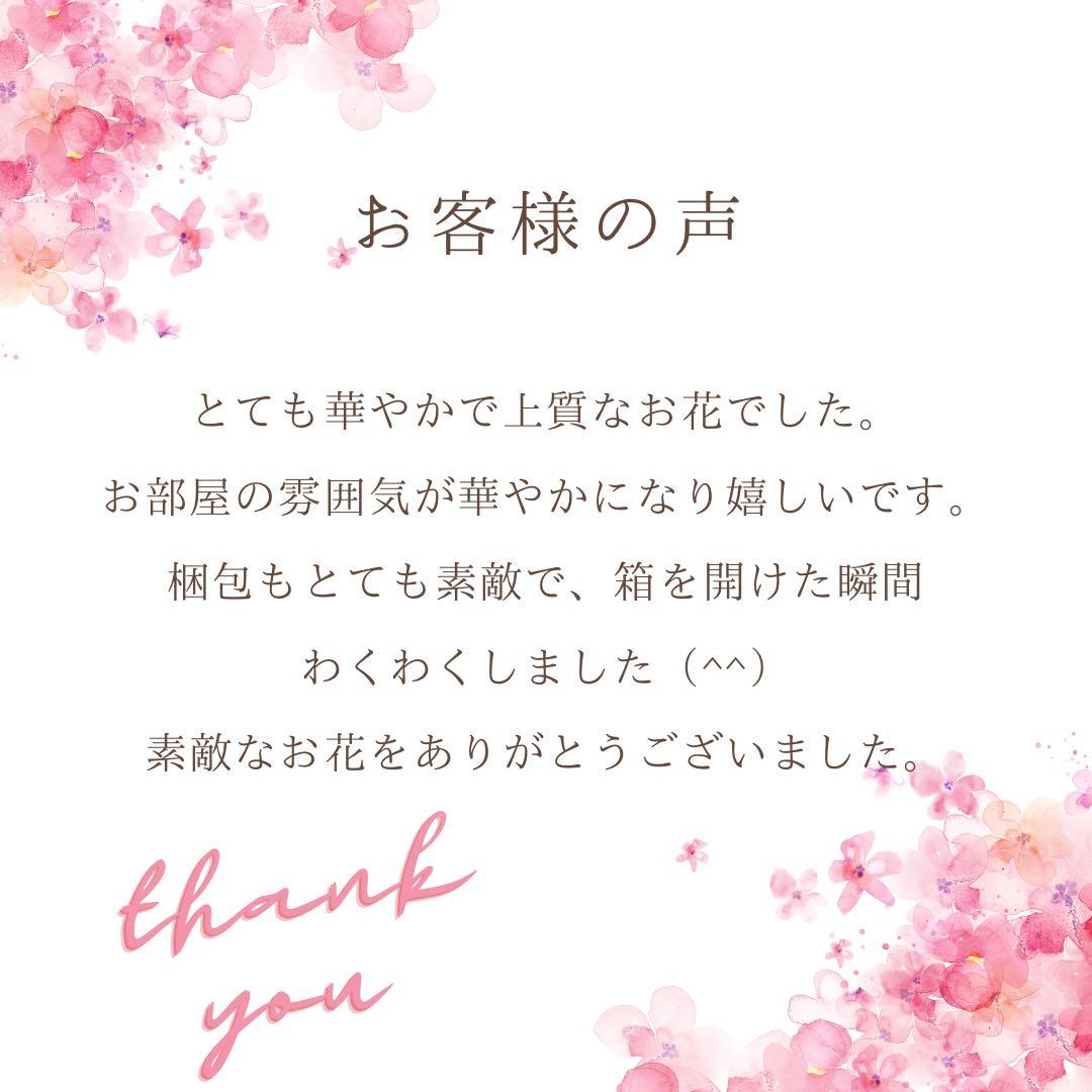 クーゲルタウンのフェアリーノエルツリー ／イルミネーション付クリスマスツリー