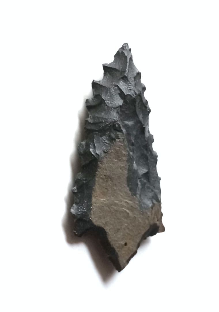 しばらくして改変します ♢消滅するかも知れません サヌカイト 370 石器 模写