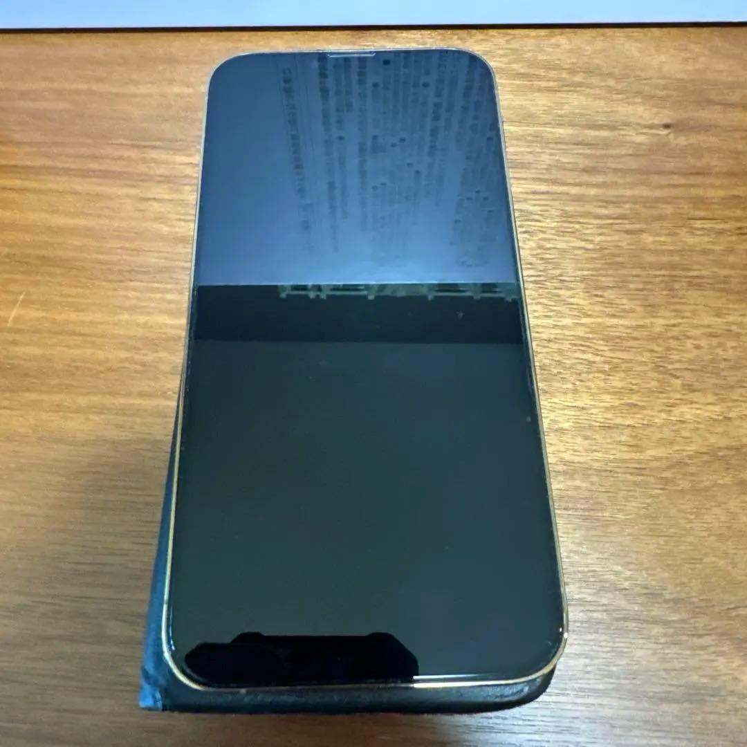 【美品】iPhone 13 Pro Max 256GB SIMフリー（おまけ付）