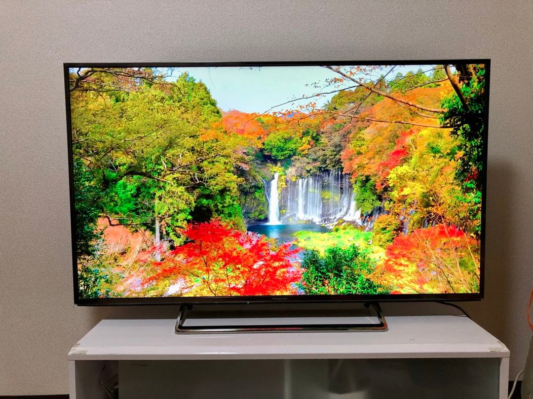 Panasonic プレミアム4K液晶テレビ　TH-49CX800 49インチ