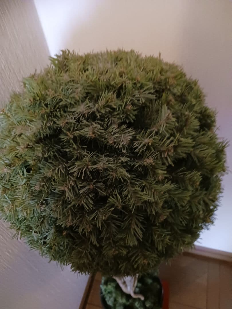 おしゃれなクリスマスツリー&正月飾り&季節のお花飾り