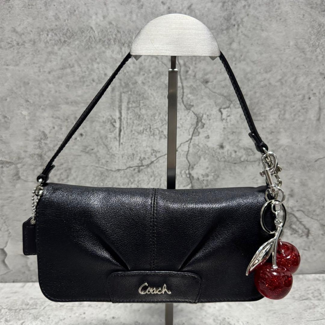 バッグ Coach Y2K Poppy Leather Accessory Pouch