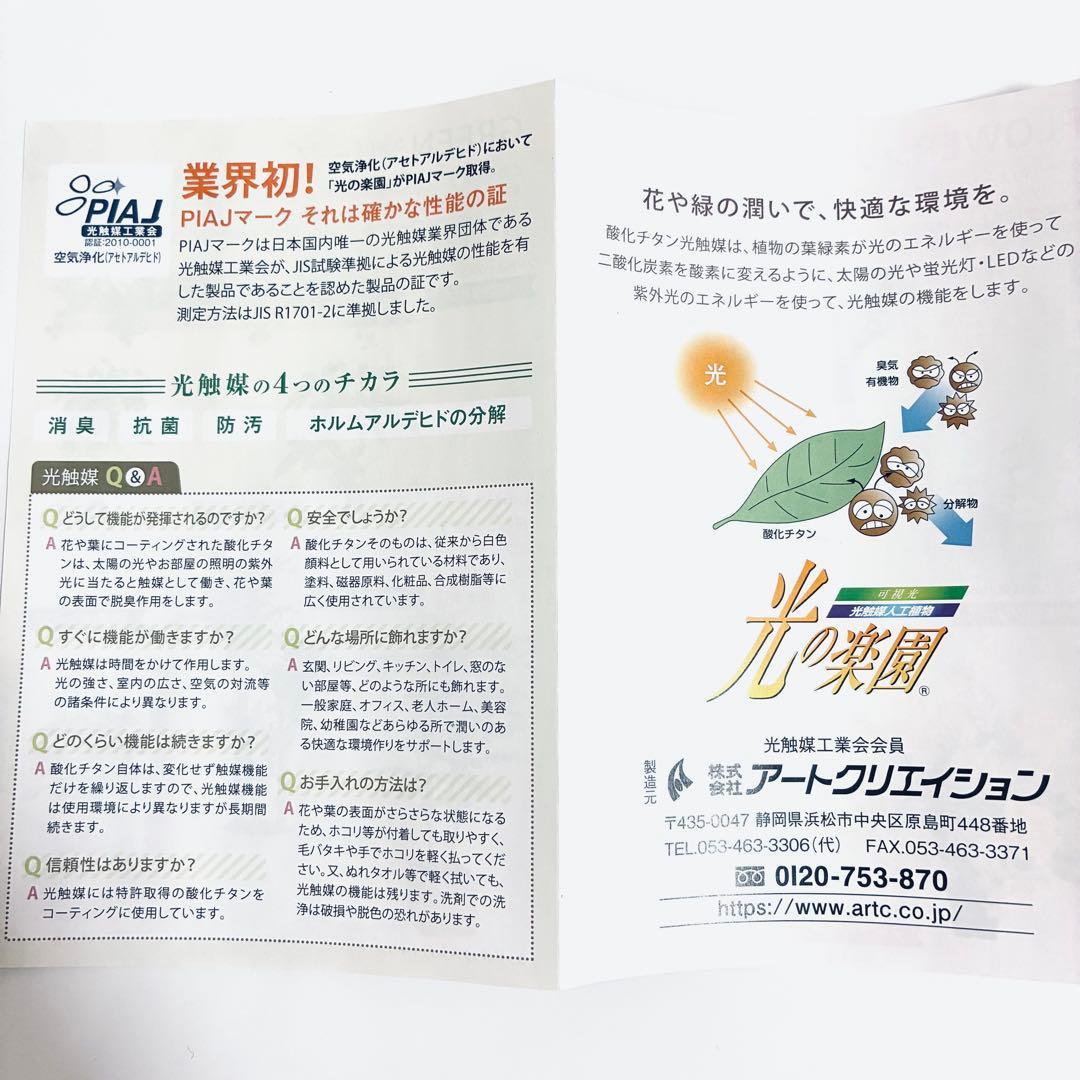 フェイクグリーン　オリーブ　人工観葉植物　光の楽園