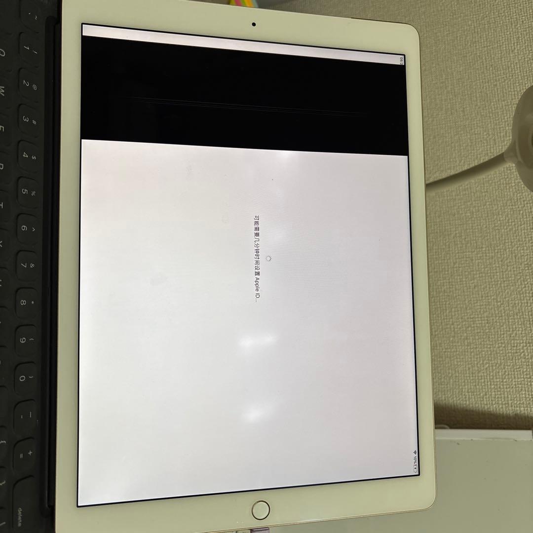 iPad本体 iPad Pro 12.9 256GB