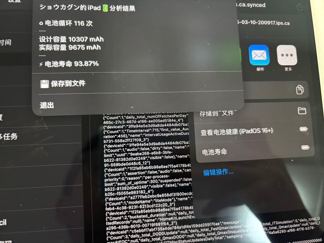 iPad本体 iPad Pro 12.9 256GB