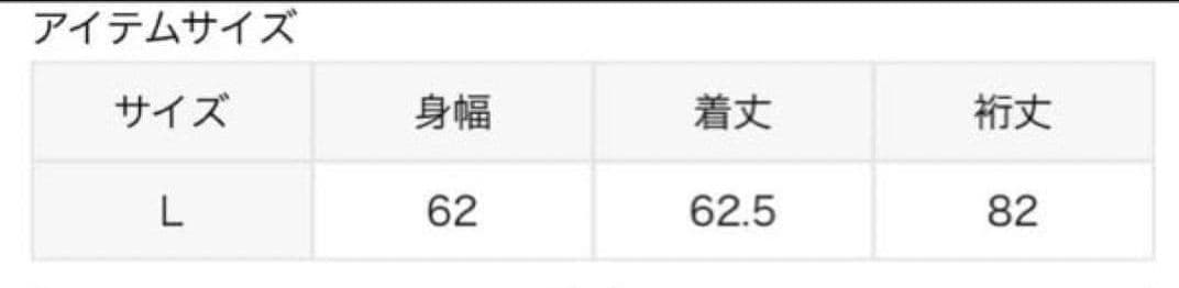 ジャーナルスタンダード　Champion ネイビー スウェット