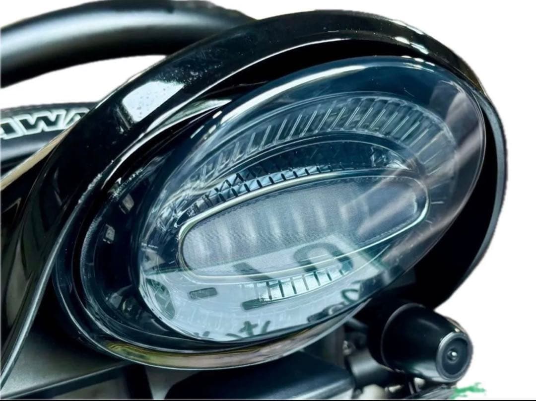 ダークスモーク！カワサキ Z900RS Z650RSテールランプ ルミナスLED