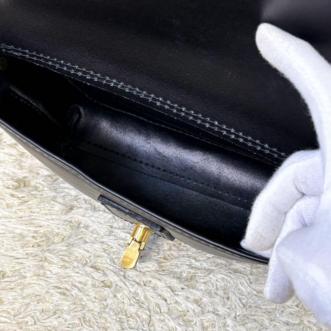 【極美品】ヘルツ ライトミニショルダー ブラック 黒 クロスボディ 斜め掛け