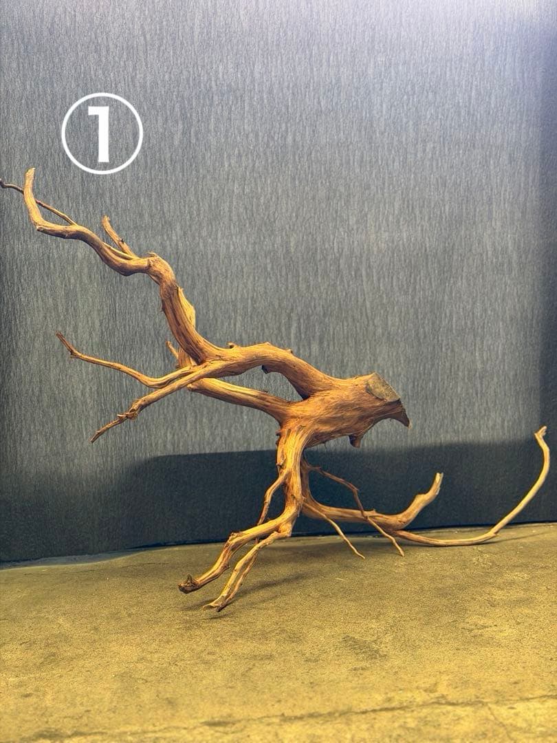 スマトラウッド・ブランチウッド 流木(大)2本組SET アクアリウム＆テラリウム