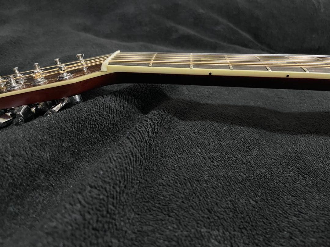 Morris B-50 縦ロゴ ハカランダ 12弦アコースティックギター