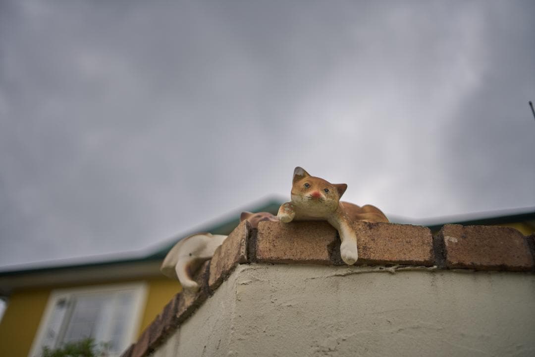 光学⚪︎ MINOLTA MC W ROKKOR-HH 35mm F1.8
