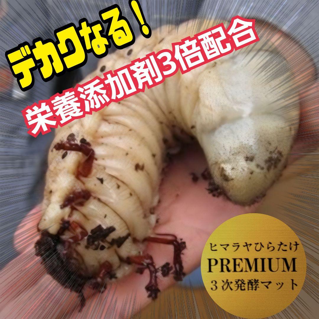 カブトムシ幼虫が巨大化！プレミアム3次発酵マット【70リットル】産卵にも抜群！