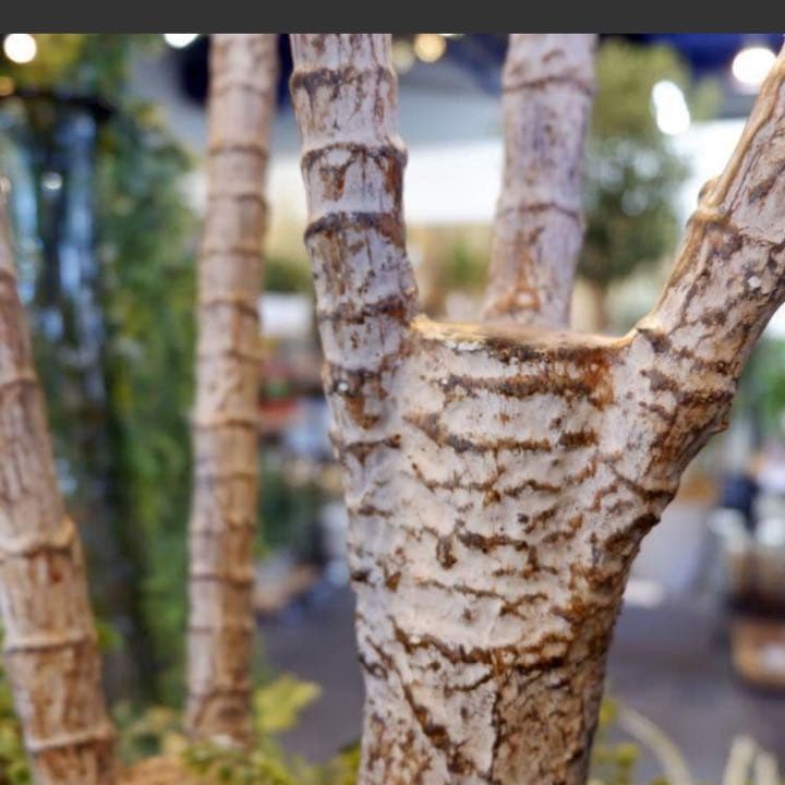 光触媒　人工観葉植物　ウォールグリーン　フェイクグリーン　ユッカツリーgj