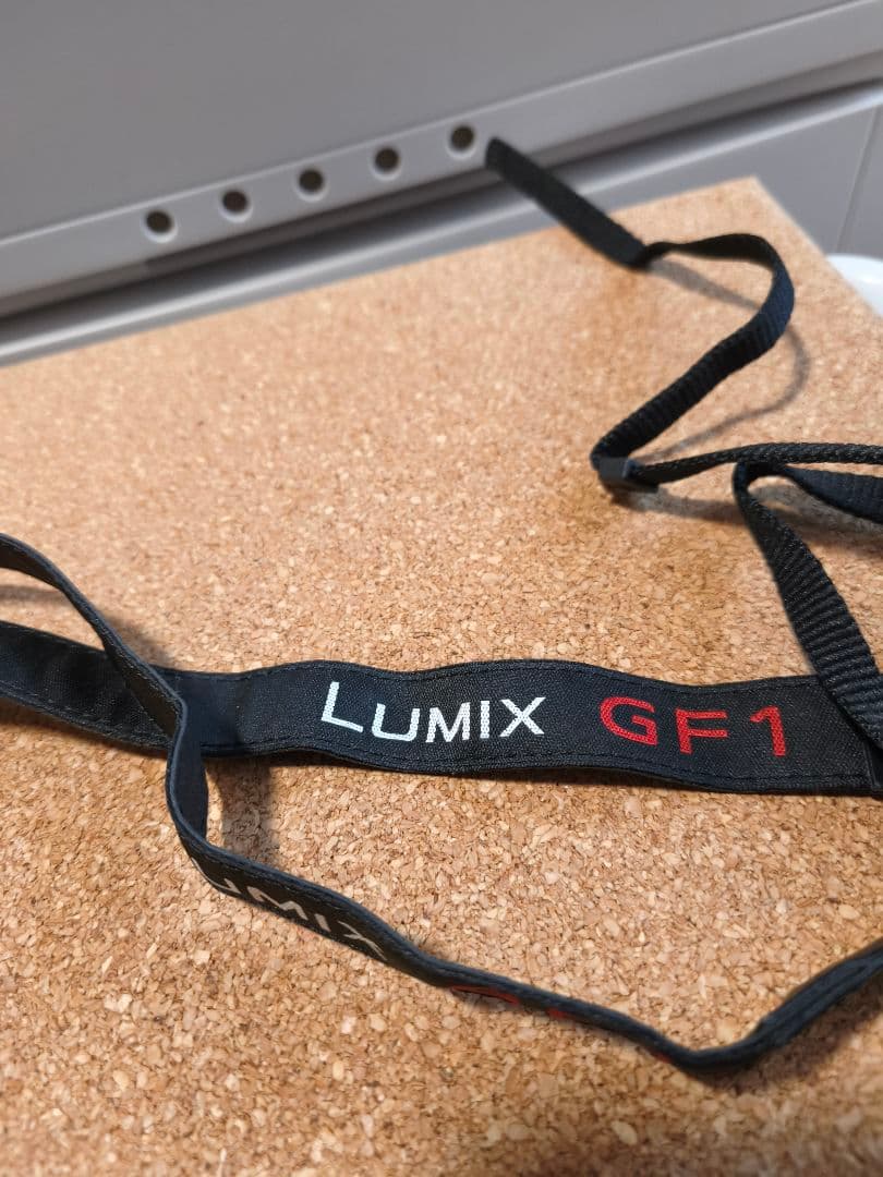 LUMIX DMC-GF1 パナソニック ルミックス おまけ付き