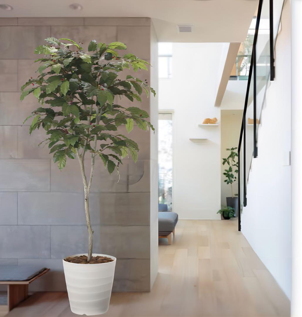 光触媒　人工観葉植物　ウォールグリーン　フェイクグリーン　コーヒーツリー180