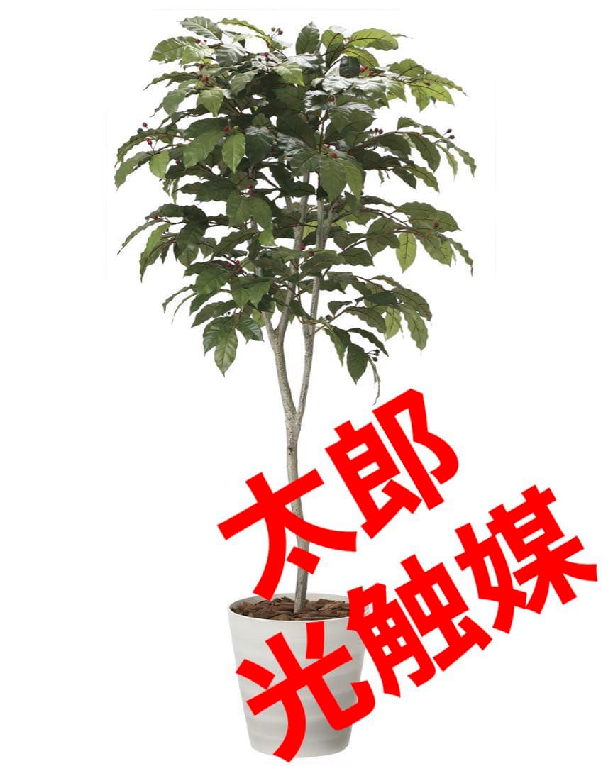 光触媒　人工観葉植物　ウォールグリーン　フェイクグリーン　コーヒーツリー180