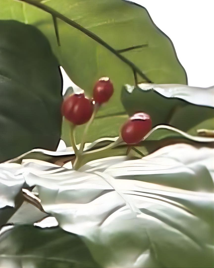 光触媒　人工観葉植物　ウォールグリーン　フェイクグリーン　コーヒーツリー180