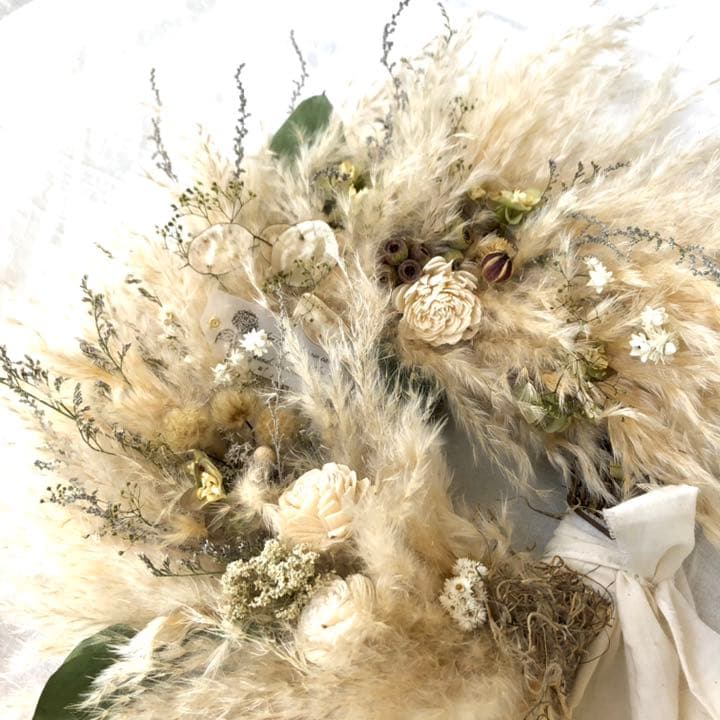 パンパスリース