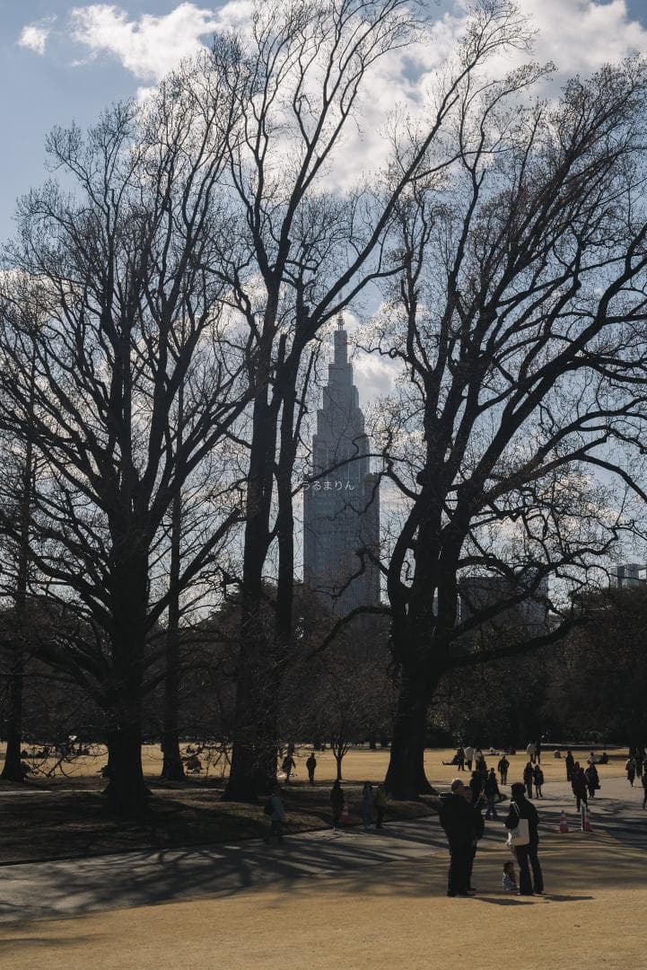 奇抜な銀レンズ！東京光学 Topcor 50mm F3.5 オールドレンズ