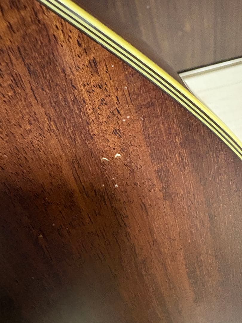 タカミネ　アコースティックギター　NPT-012BS