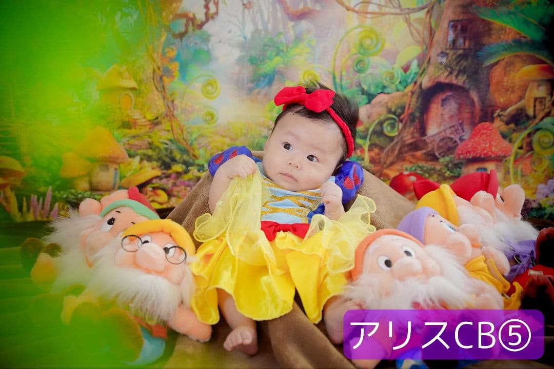 業務用トリミングチョーカー+背景布　ペット撮影用フォトブース　ハロウィン