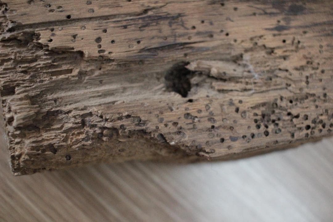 フランスアンティーク木製シューモールドオブジェ/43