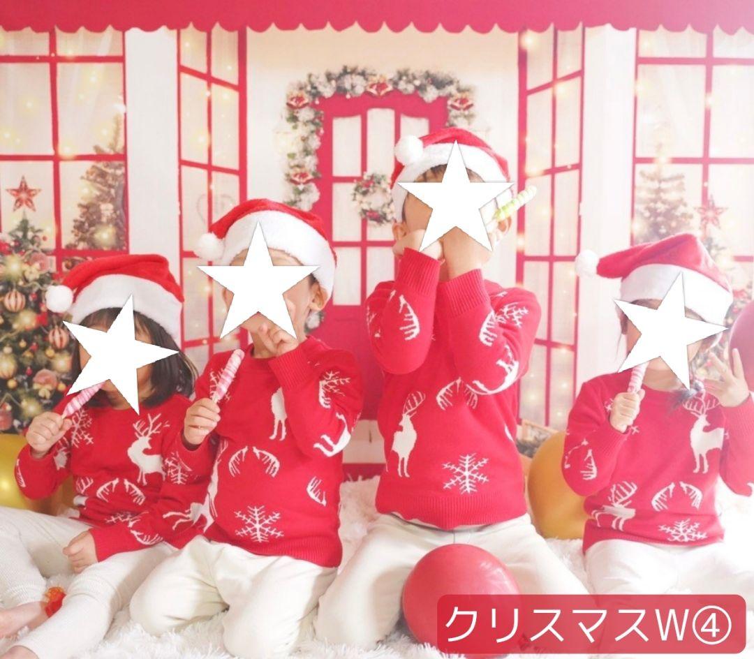 背景布【お正月I】サンプル　縦長　ペット撮影用ブース年賀状　梅の花　和柄　赤富士