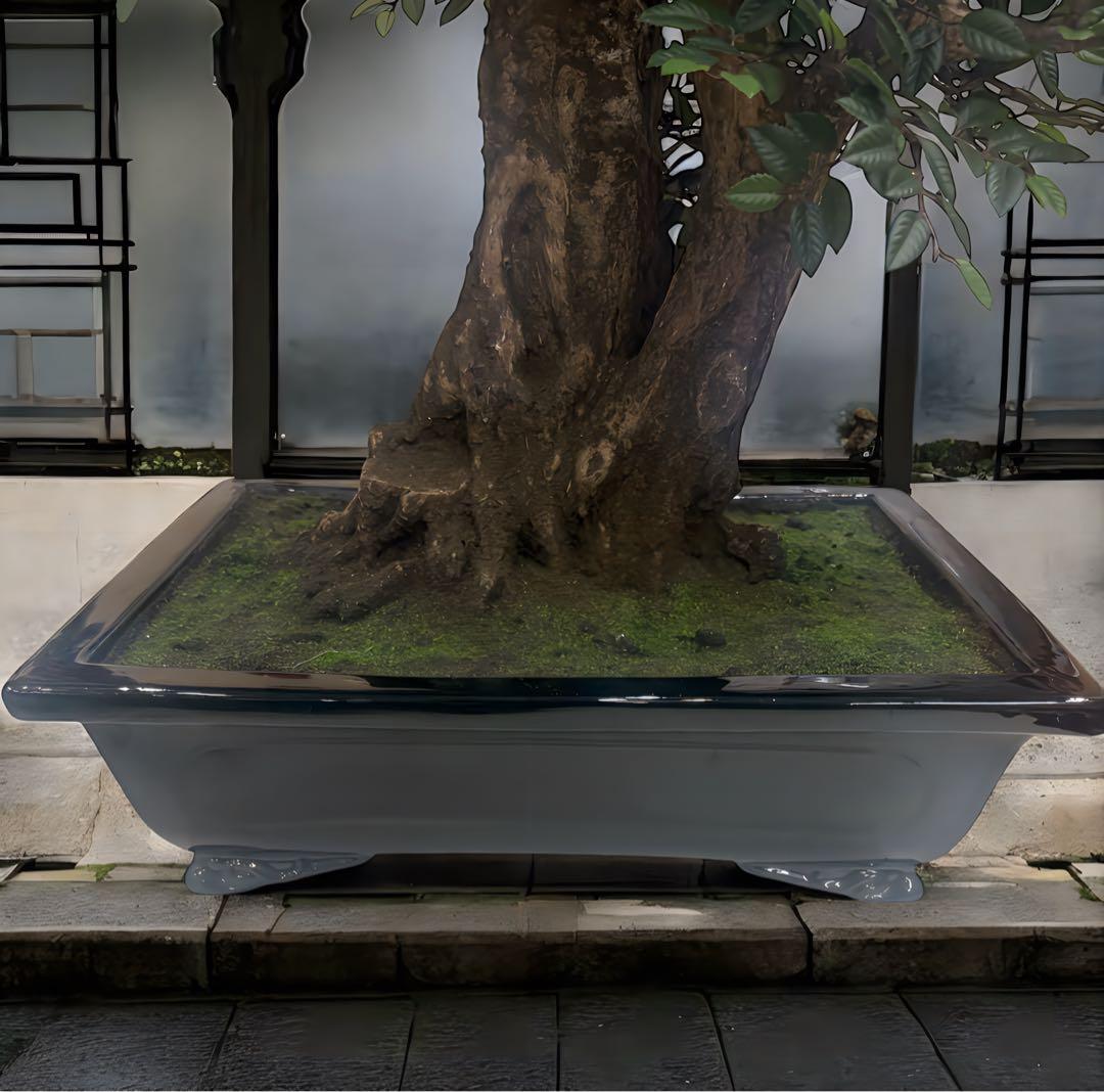 光触媒　人工観葉植物　ウォールグリーン　フェイクグリーン　盆栽　欅　けやき